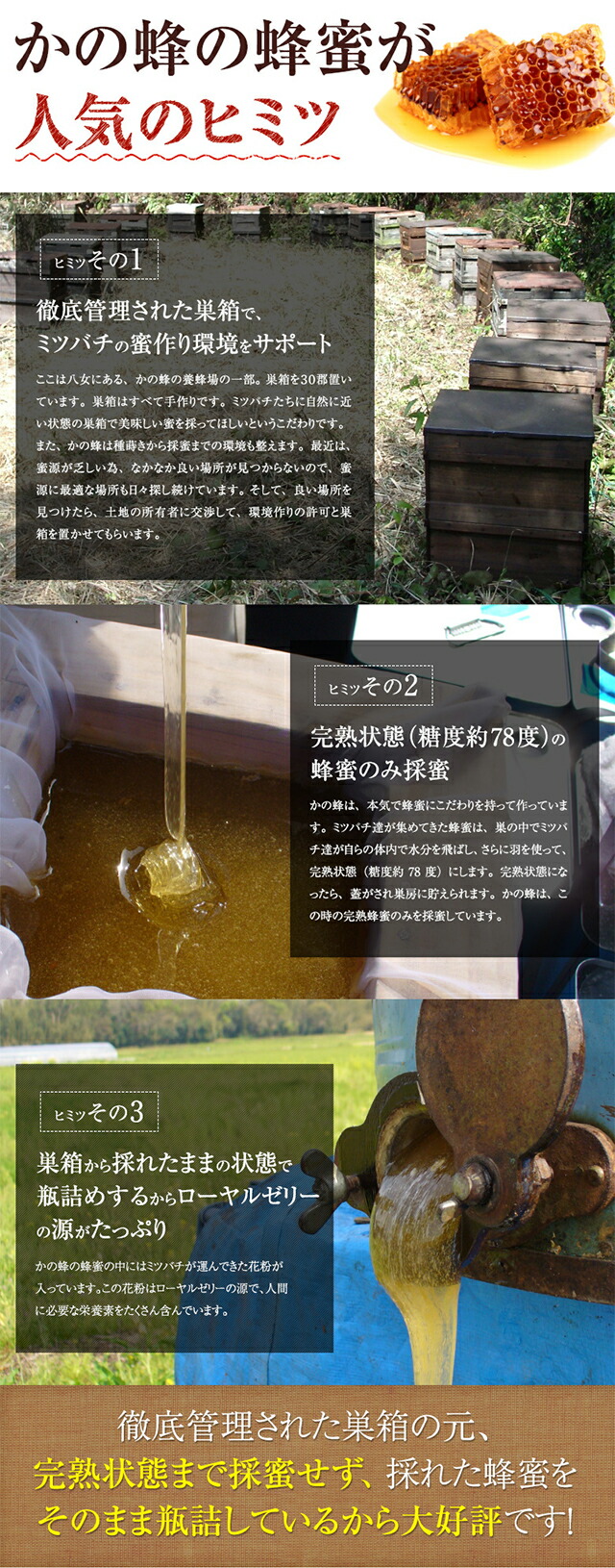 はちみつお試しセット 4