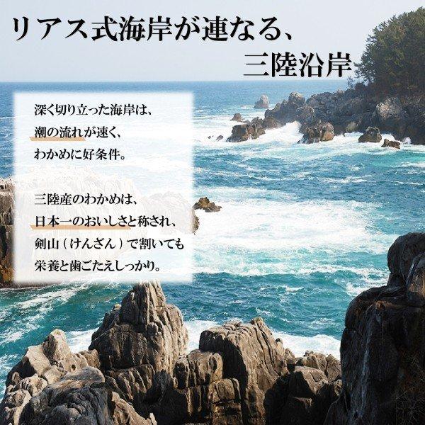  けんざん 三陸産細さき茎わかめ 2