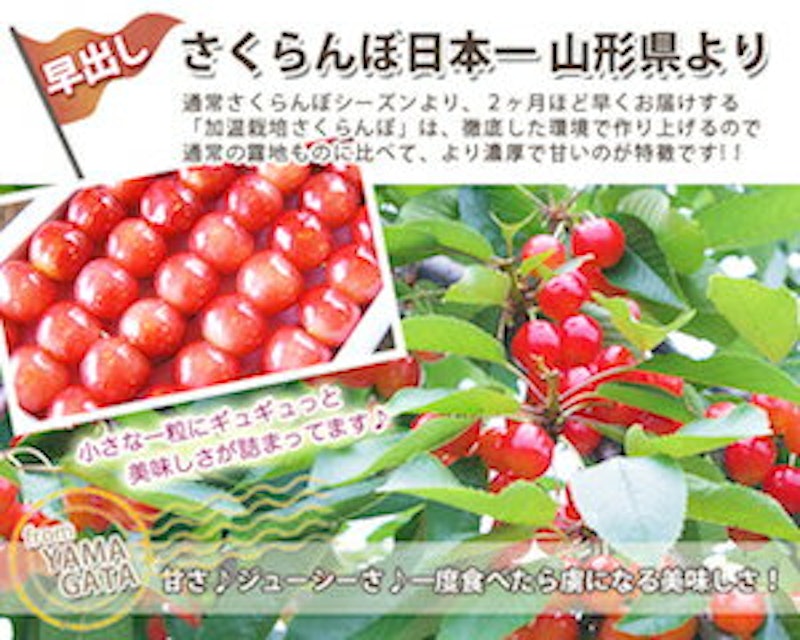 早出しさくらんぼ 2