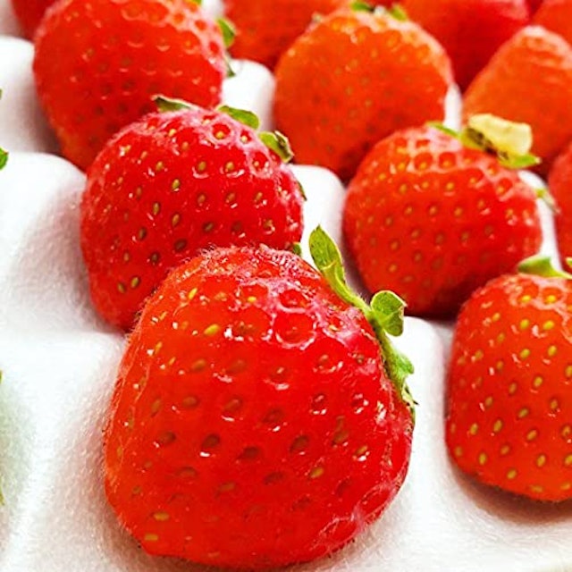 21年 贈答用いちごのおすすめ人気ランキング10選 Mybest 21年 贈答用いちごのおすすめ人気ランキング10選 Mybest