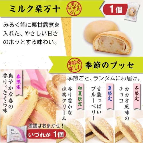 おすすめセット 7