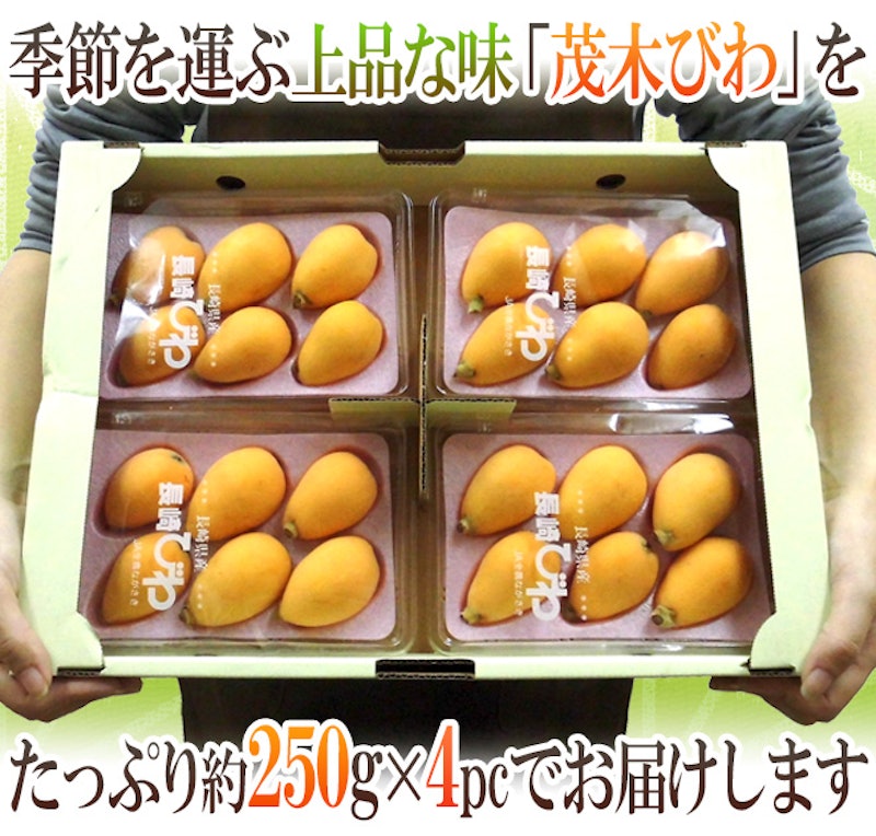 茂木びわ 7
