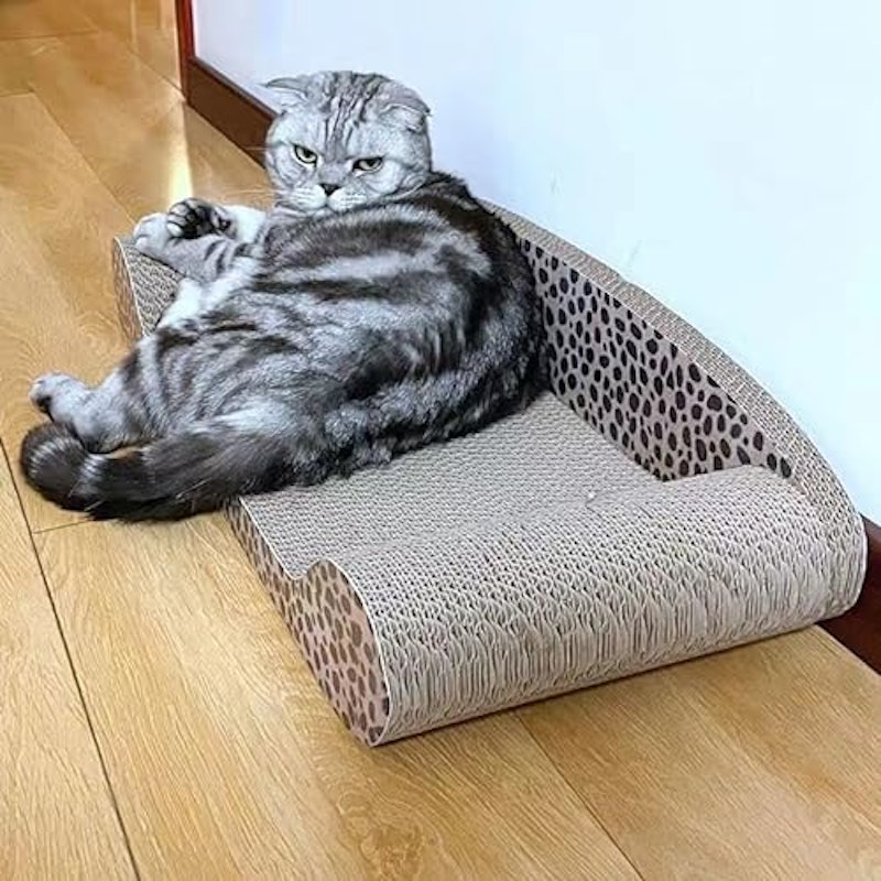爪とぎ 6