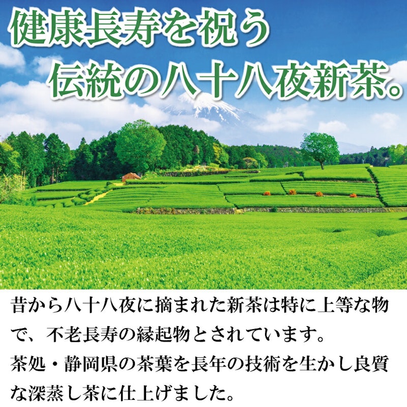 わが家のちゃぶ台 新茶静岡茶2袋セット 5