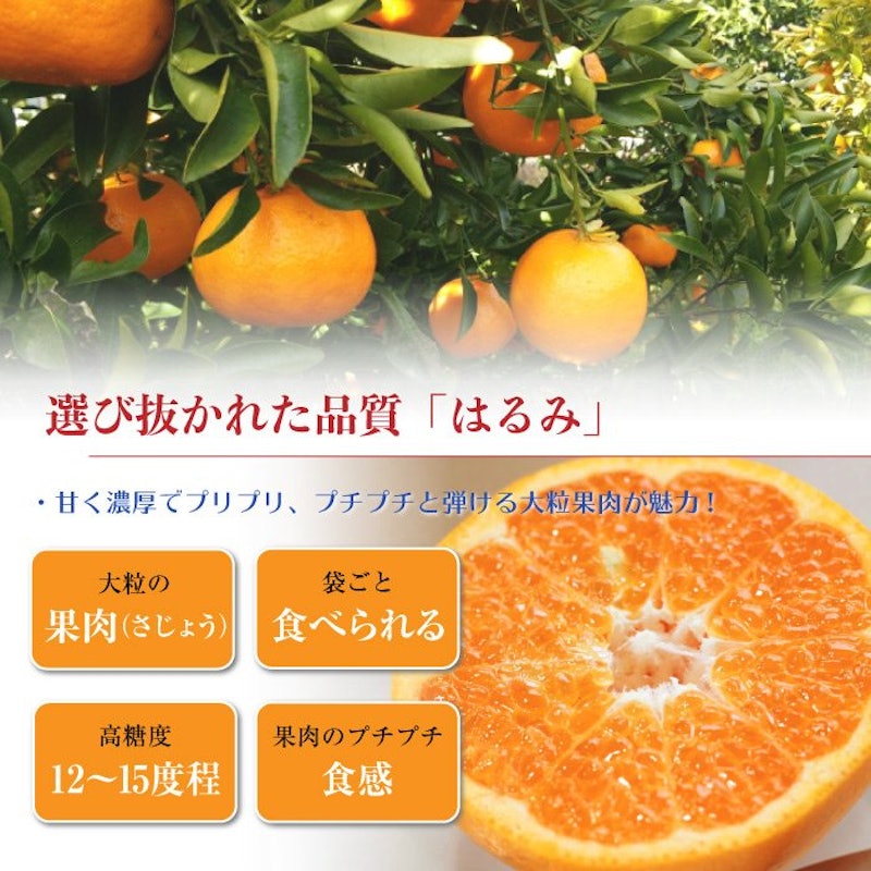 はるみ 4