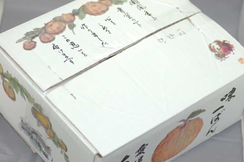 訳あり減農薬 デコポン 2