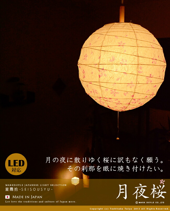 月夜桜 1