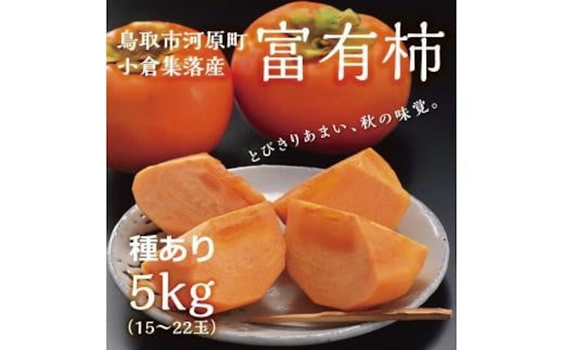 富有柿 1