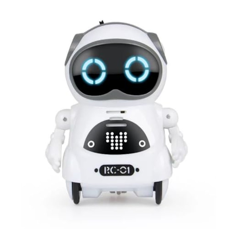 ポケットロボット 1