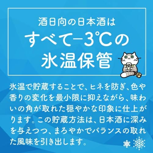 星降る夜の宴 3