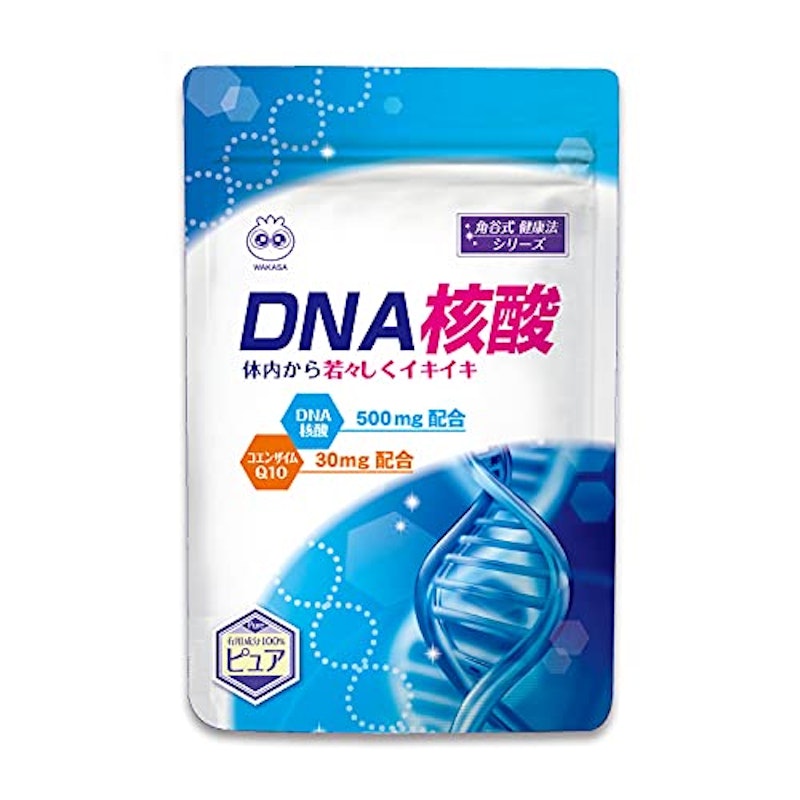 DNA核酸 1