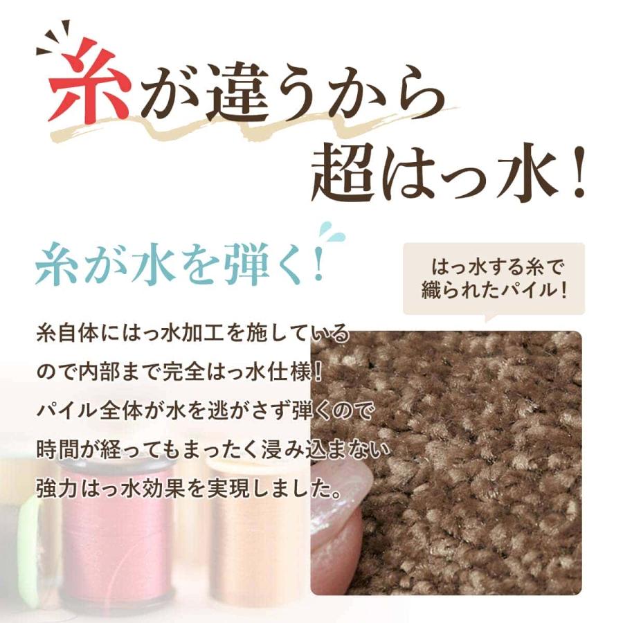 タイルカーペット プルーラ 2