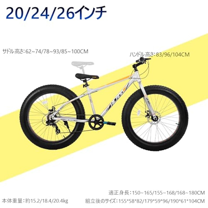 Roon 6
