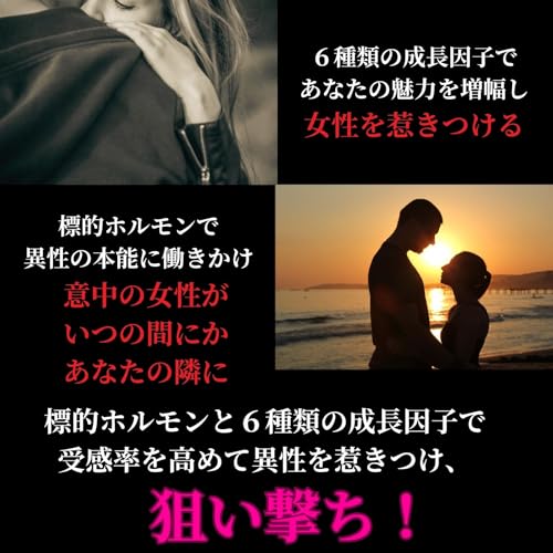 EX6エグゼックス 5