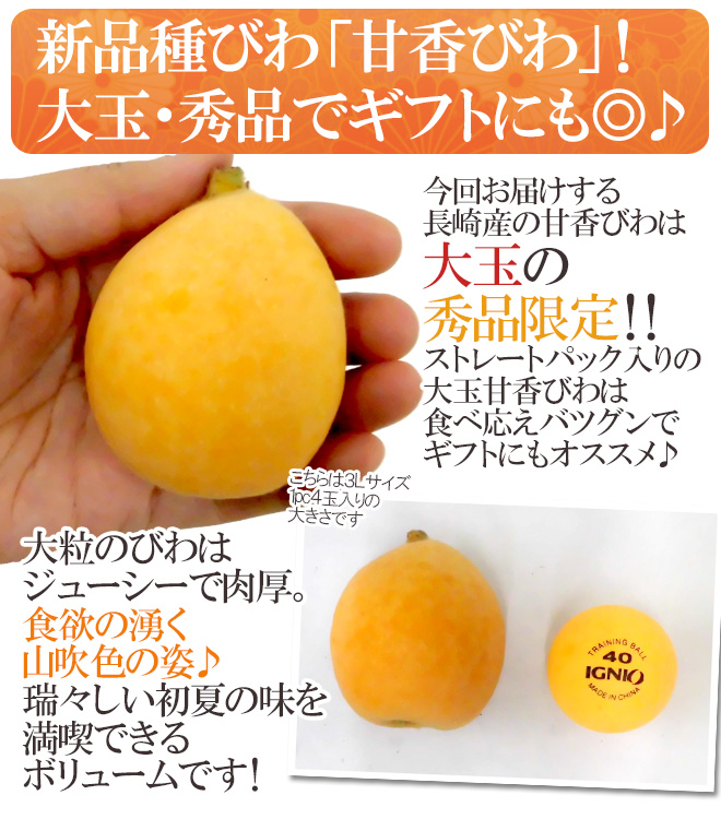 甘香 秀品びわ 6
