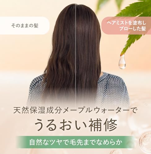 ヘアミスト 2