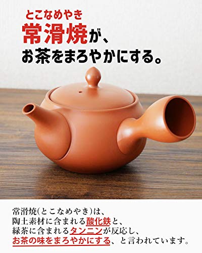 小急須 150ml 常滑焼 伝統朱泥 陶製アミ すごかっ メッシュ茶漉