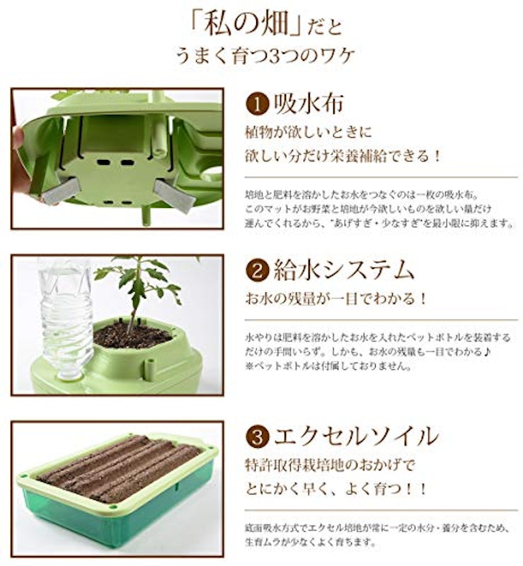 私の畑 4