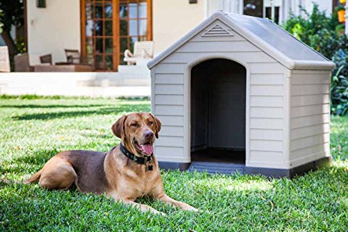 21年 屋外用犬小屋のおすすめ人気ランキング10選 Mybest