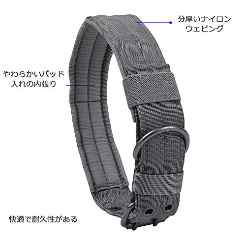 EXCELLENT ELITE SPANKER 犬用首輪 6
