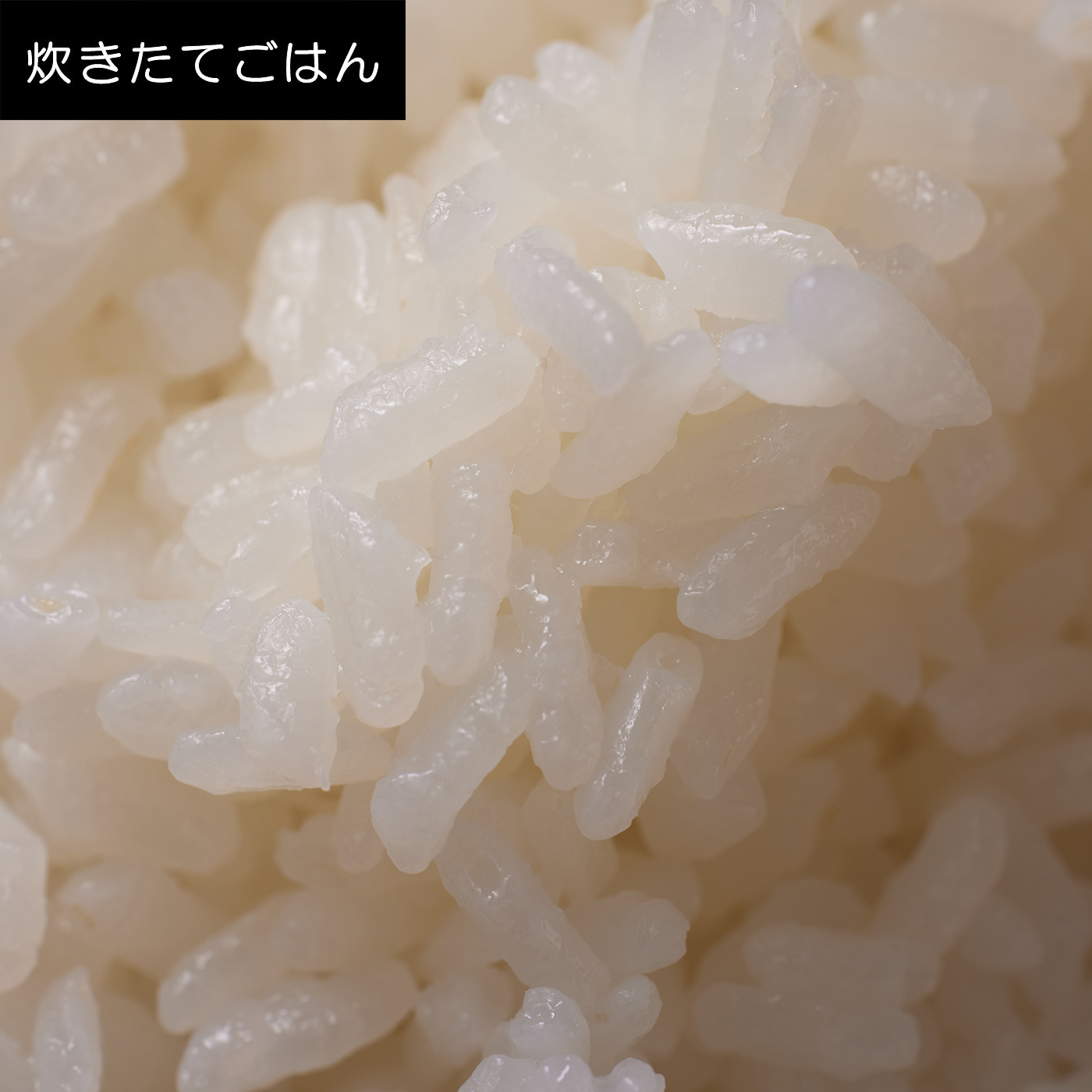 可変圧力IHジャー炊飯器 10