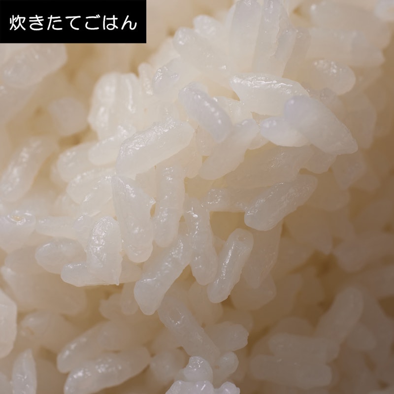 可変圧力IHジャー炊飯器 10