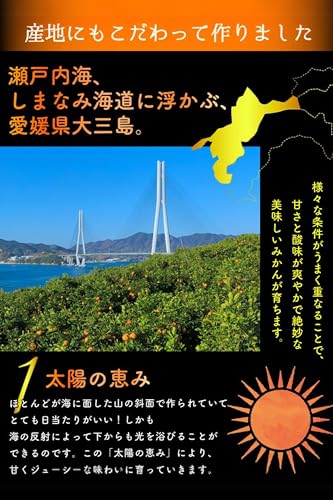愛媛みかん 4
