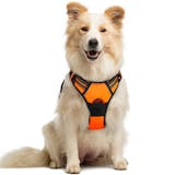 かわいい犬用ハーネスのおすすめ人気ランキング【2026年10月】 2