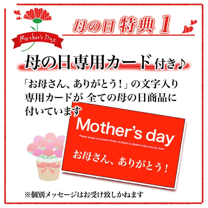 白雪姫のユリ ローズリリー 4