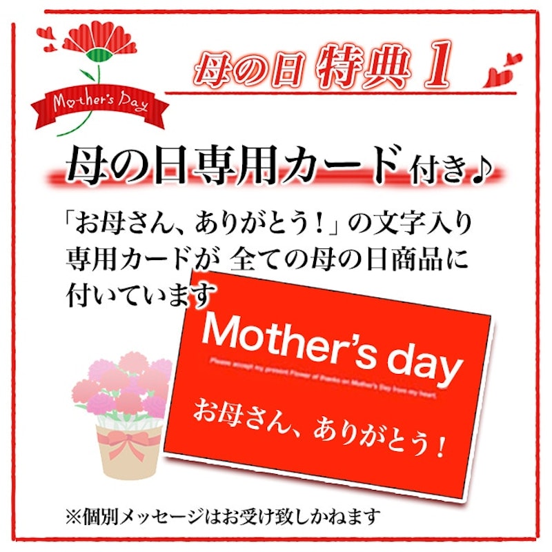 白雪姫のユリ ローズリリー 4