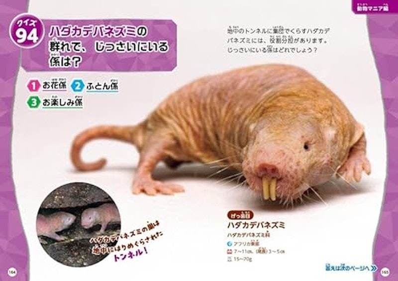 動物 超クイズ図鑑 7