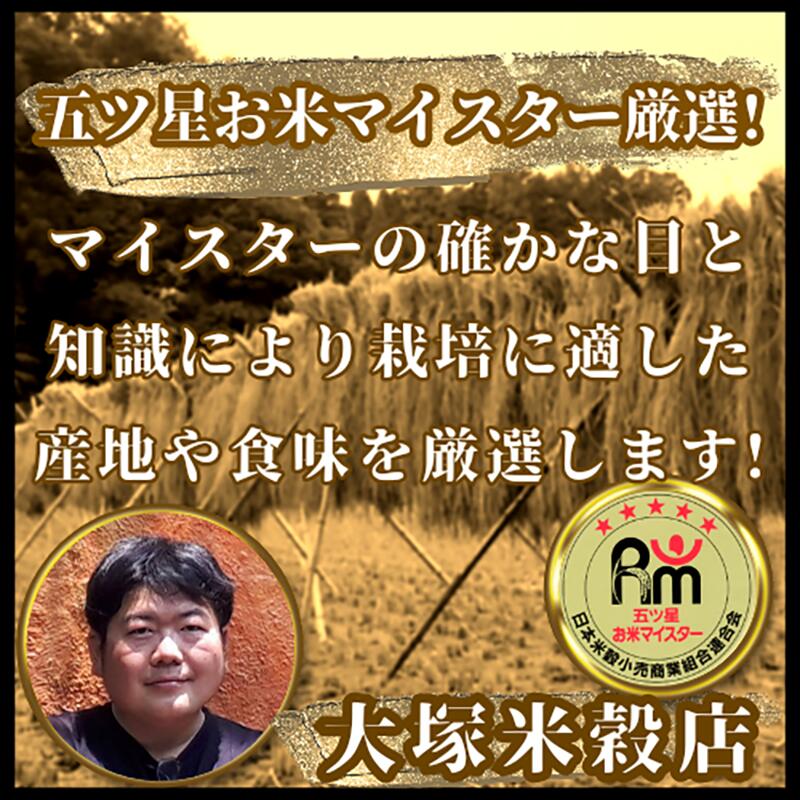 さがびより 4