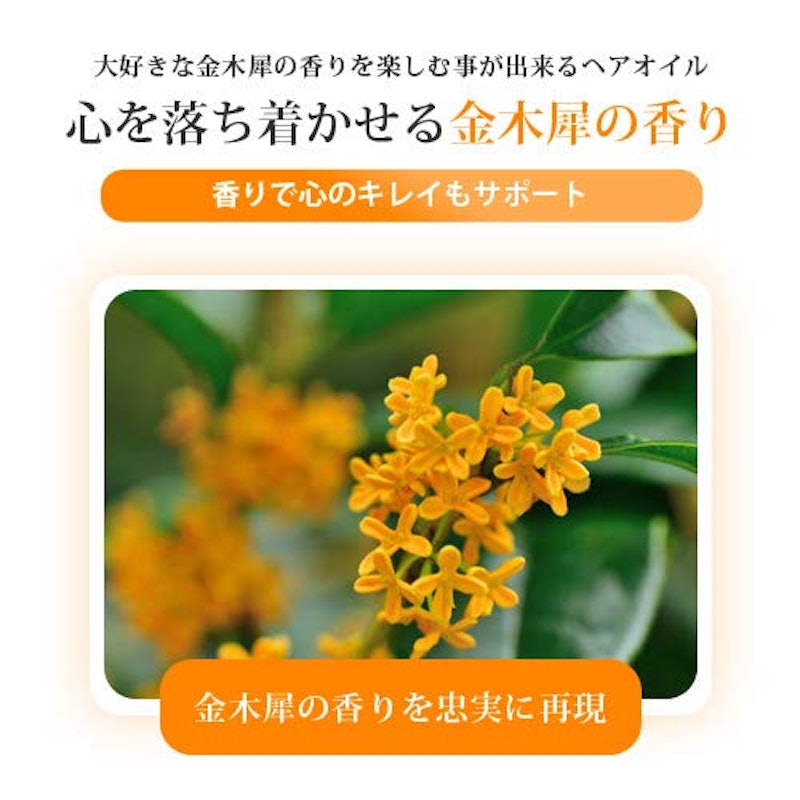 ヘアトリートメントオイル 4