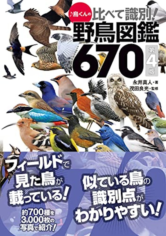 鳥くんの比べて識別!野鳥図鑑670 第4版 1