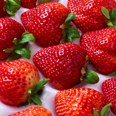 21年 贈答用いちごのおすすめ人気ランキング10選 Mybest