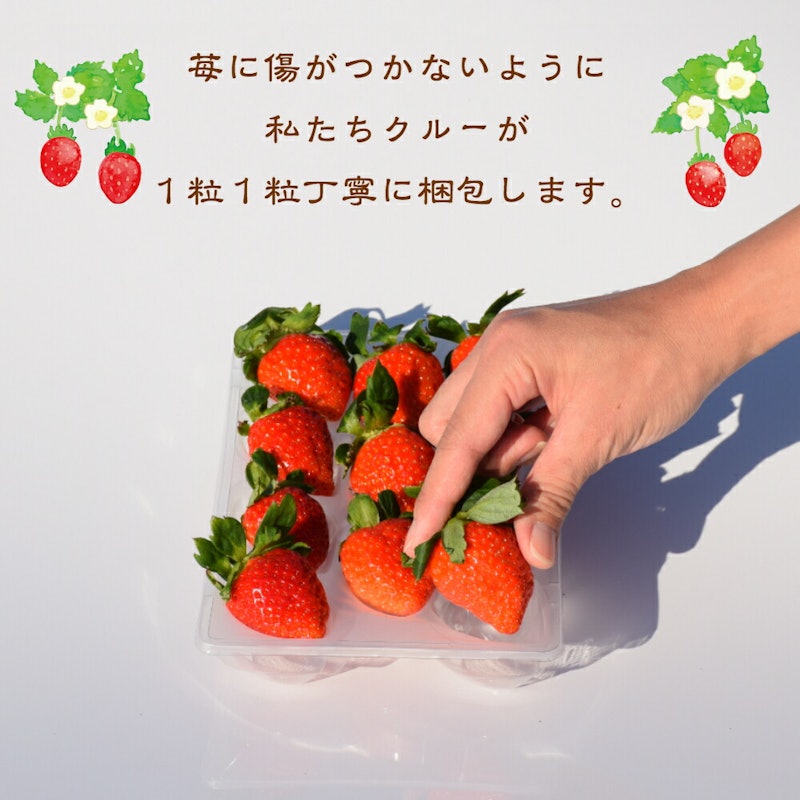 雪国完熟いちご越後姫桃薫食べ比べセット 9
