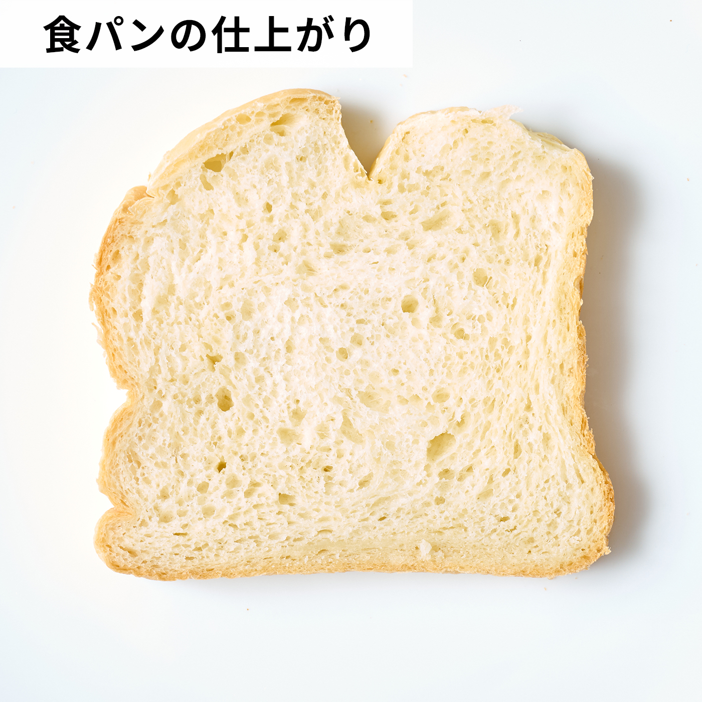 おうちベーカリー ベーシック プラス 7