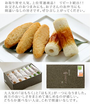 はもちく ささ揚げはもてん 2