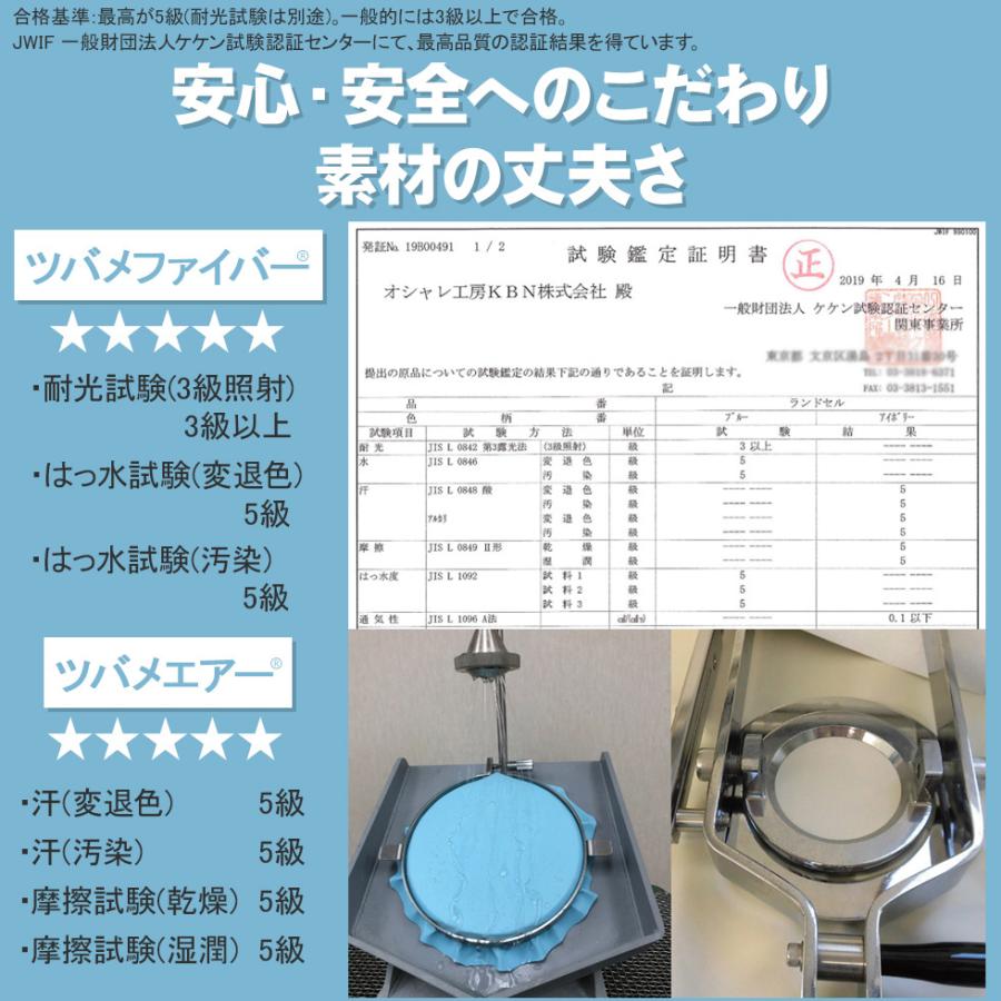 スタンダード 7