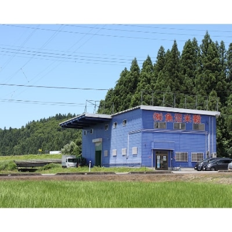 魚沼産コシヒカリ 2