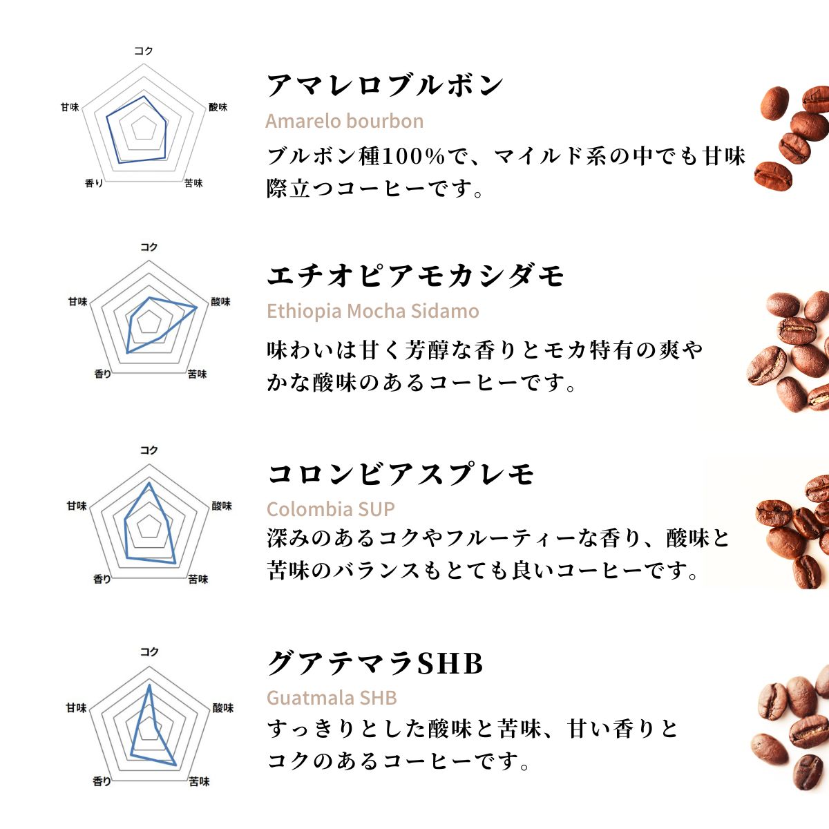 コーヒーギフト 5