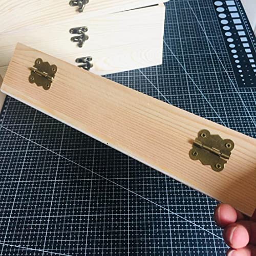 透明昆虫蝶標本箱 3