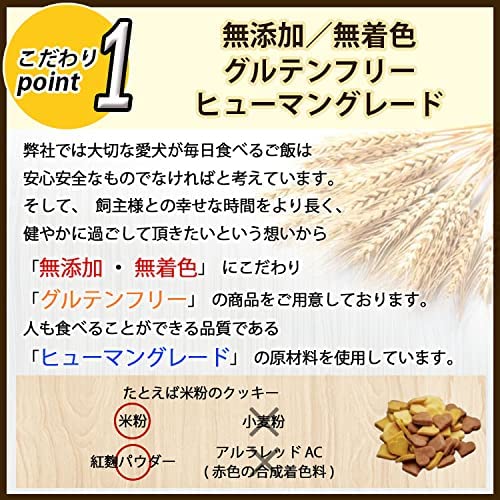 miniデコレーションケーキ 犬用 2