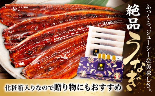 九州産 うなぎ蒲焼 4