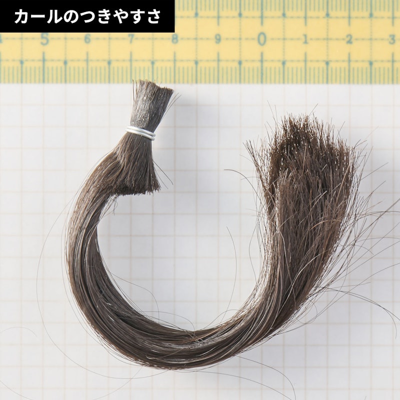 カールアイロン プロ 5