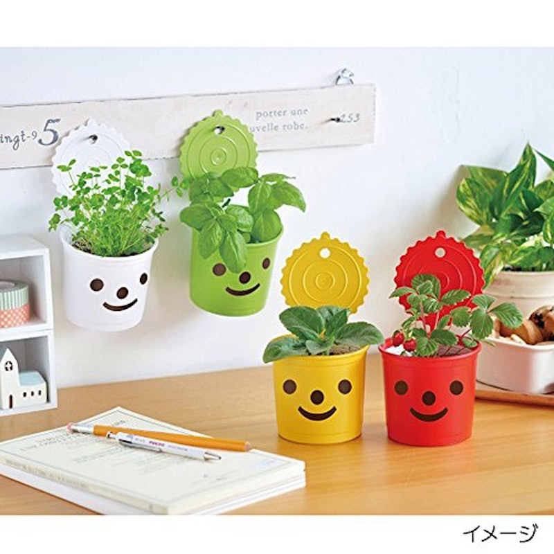 21年 ハーブ初心者向け栽培キットのおすすめ人気ランキング10選 Mybest 21年 ハーブ初心者向け栽培キットのおすすめ人気ランキング10選 Mybest