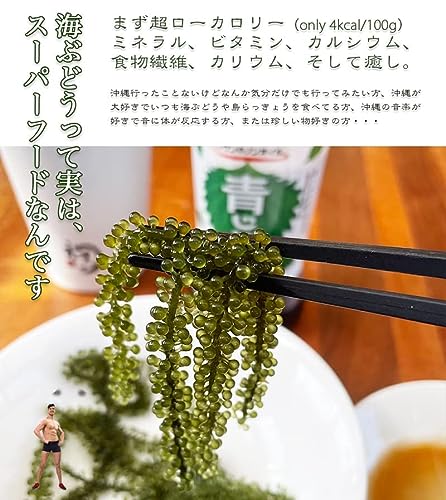 海ぶどう 5