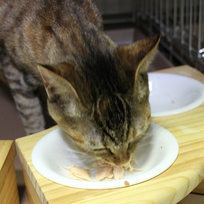焼ささみ 12本入り チキンミックス味 11