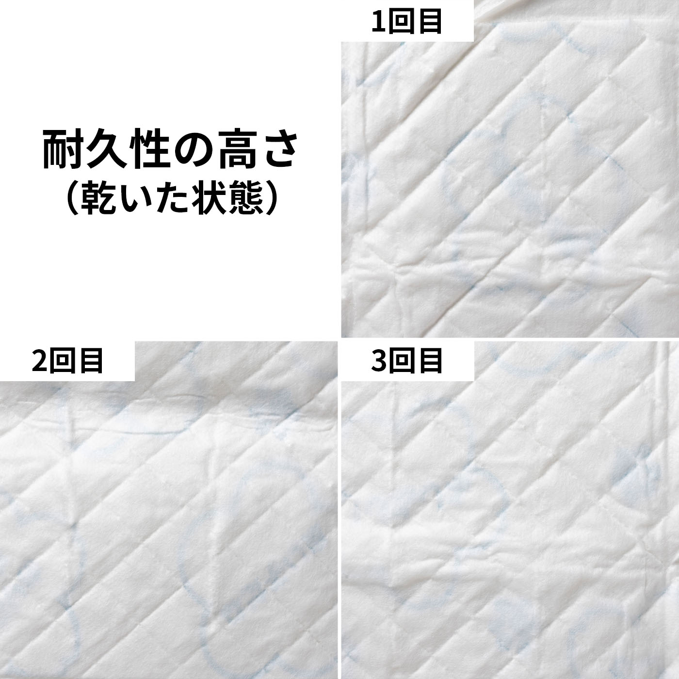 しつけだワン レギュラー 5