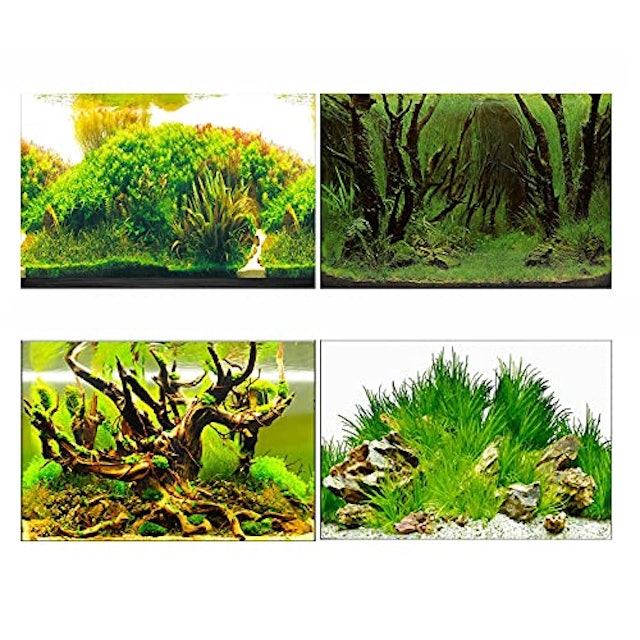 21年 水槽バックスクリーンのおすすめ人気ランキング10選 Mybest 21年 水槽バックスクリーンのおすすめ人気ランキング10選 Mybest